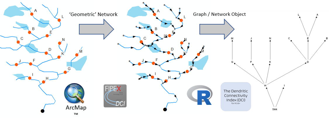 network model image